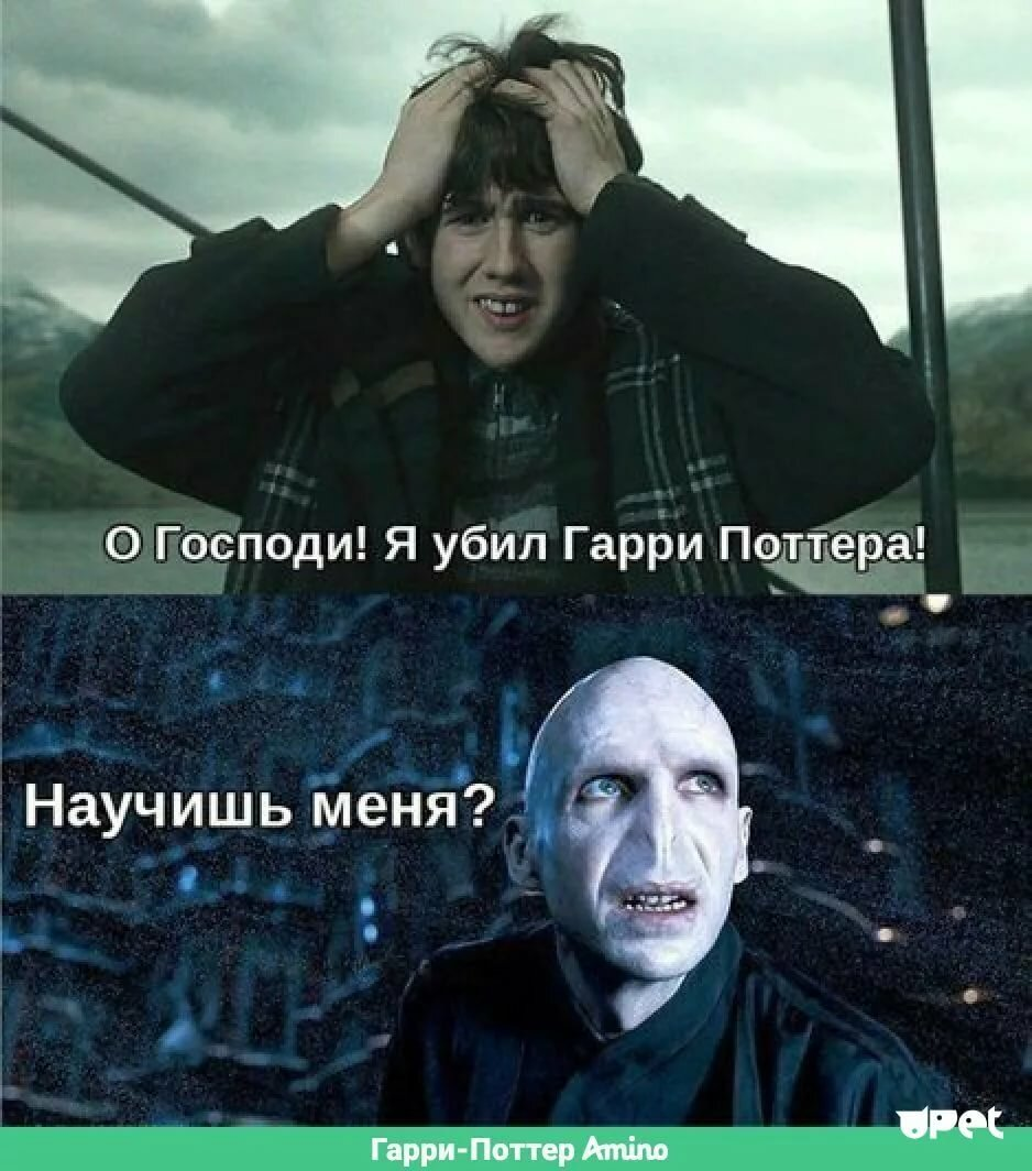 Мемчики по Гарри Поттеру