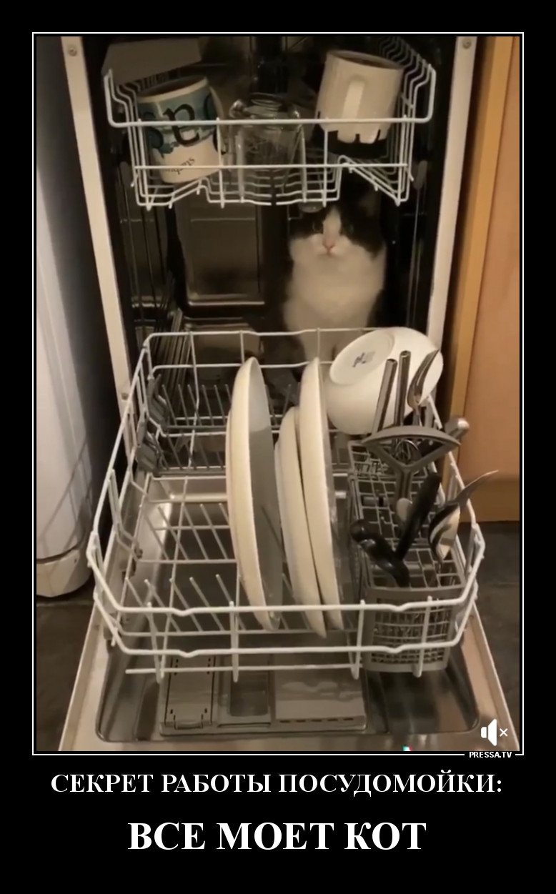Посудомоечная машина прикол