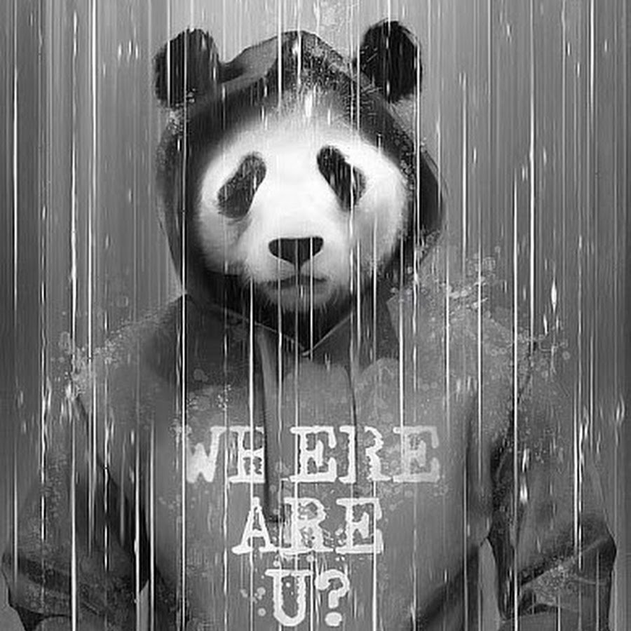 Панда дождь