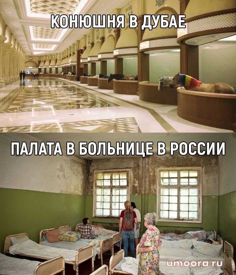 Конюшня в Дубае и больница в России