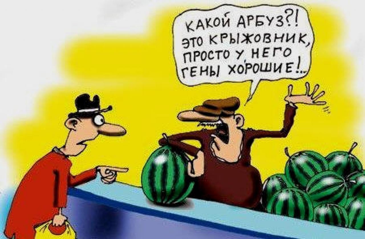 Анекдот про арбузы. ГМО карикатуры. Овощи карикатура. Анекдот про Арбуз. Продукты карикатура.