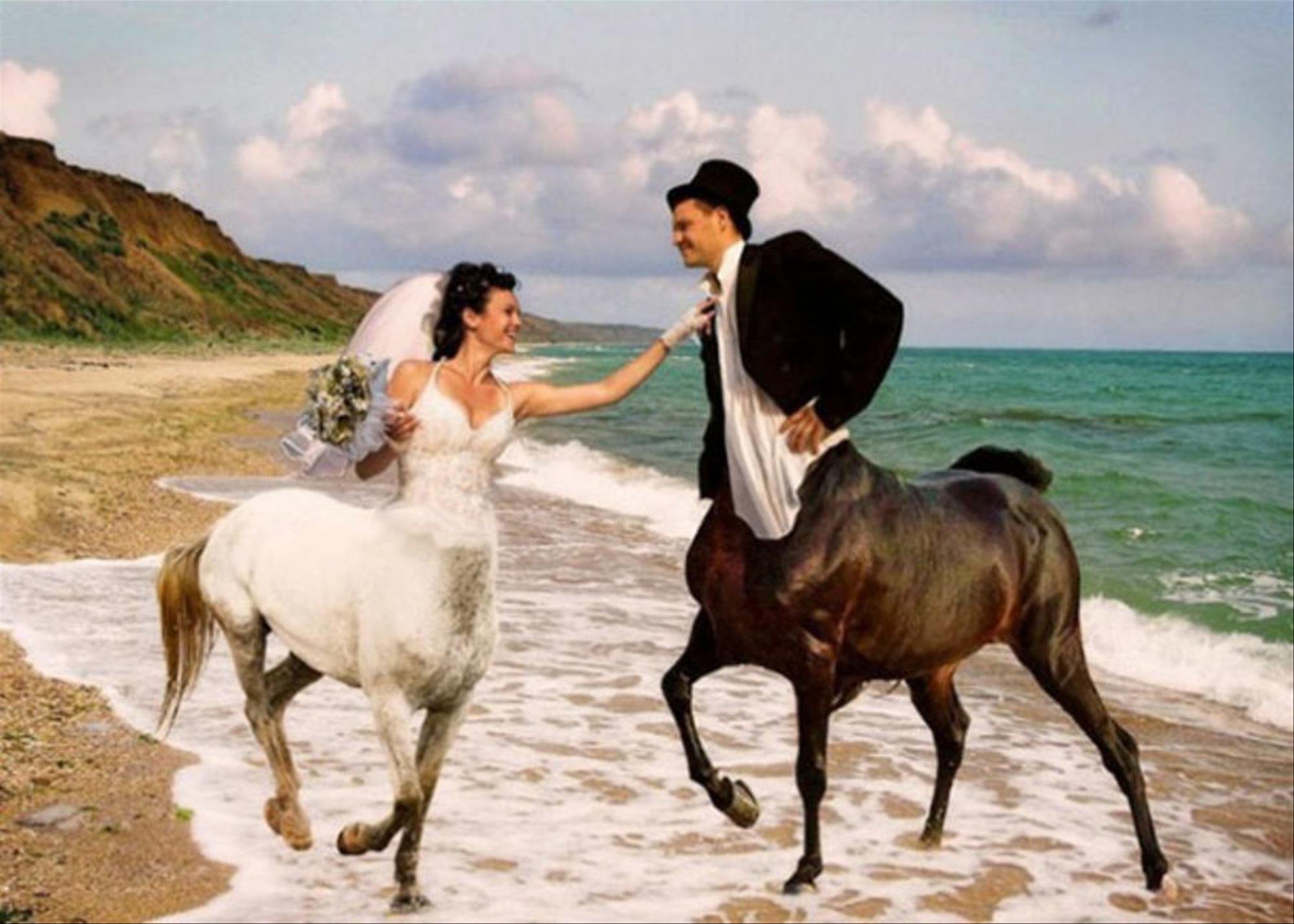 Пара смешная картинка. Прикольные Свадебные фотосессии. Смешные Свадебные фотосессии. Смешные фото со свадьбы. Свадебная фотосессия с лошадьми.