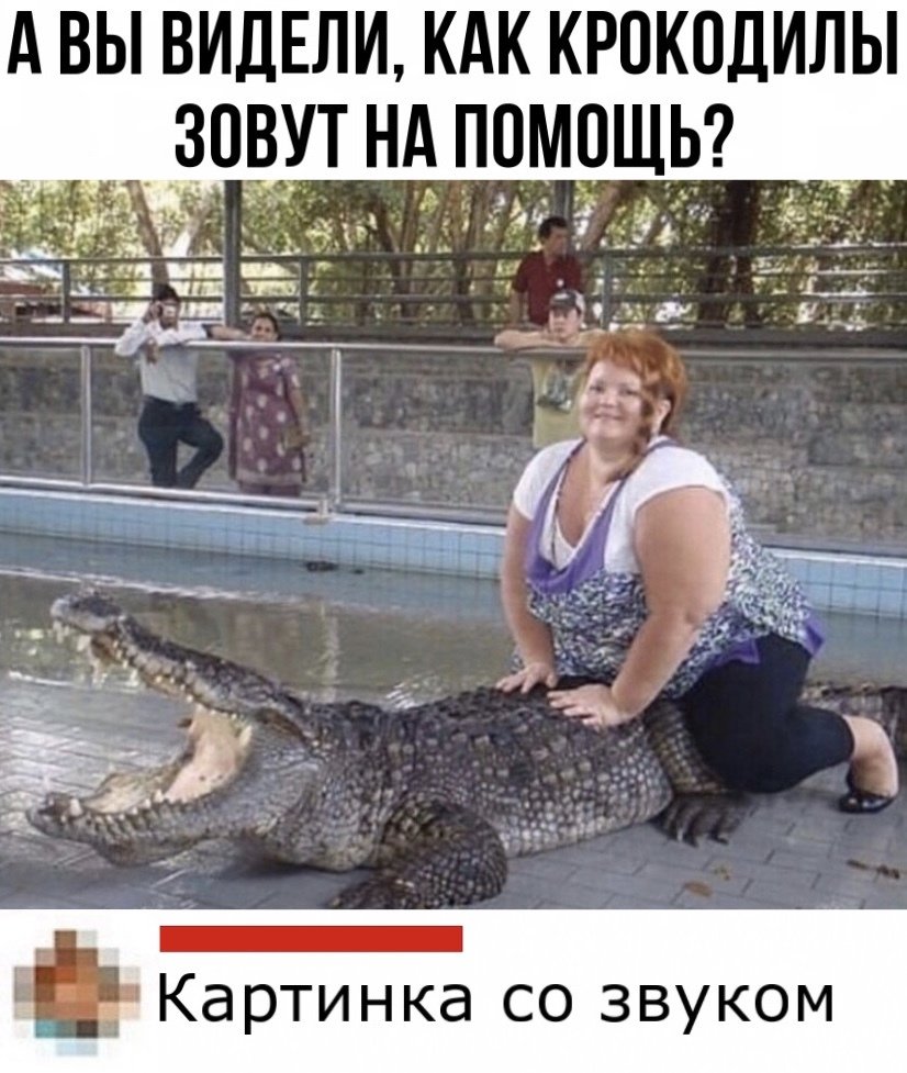 Девушка крокодил толстая