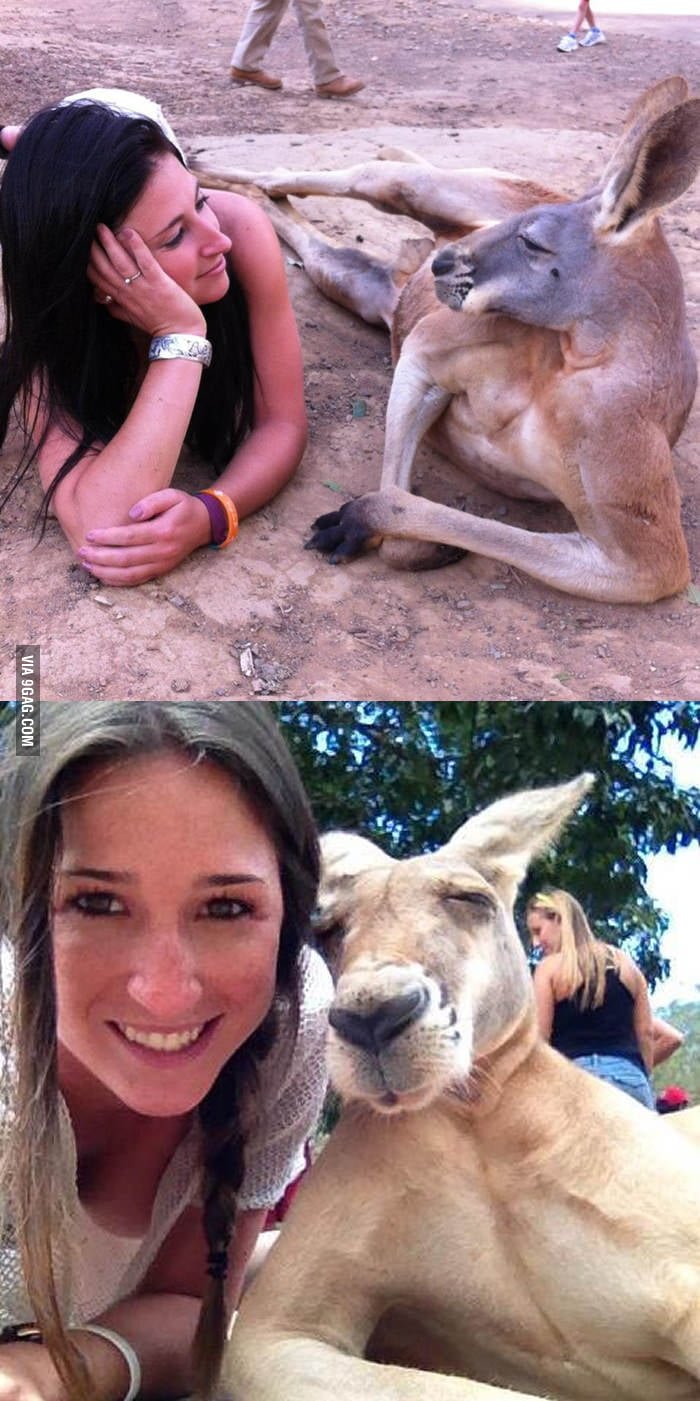Девушка и кенгуру