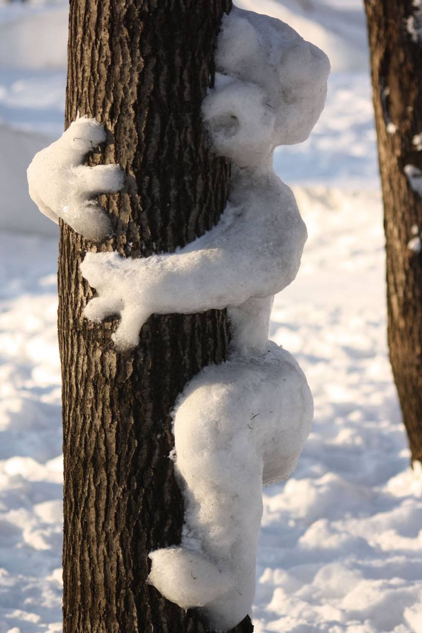 Снег смешная картинка. Смешная зима. Снежное настроение. Снеговик на дереве из снега. Приколы про зиму.
