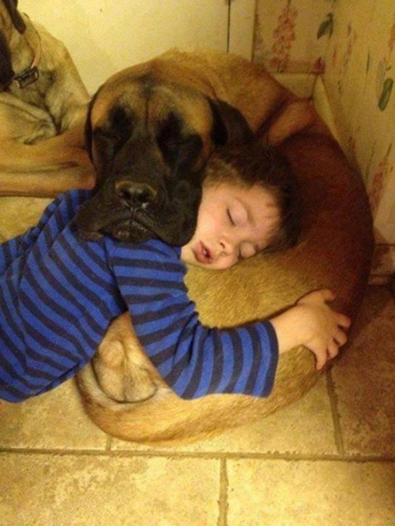 Ребенок спит с собакой