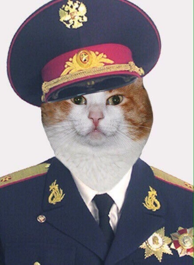 Инспектор кот Мем