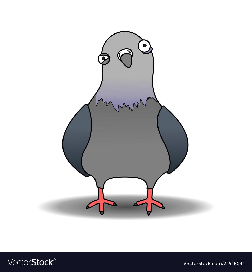 Смешной голубь