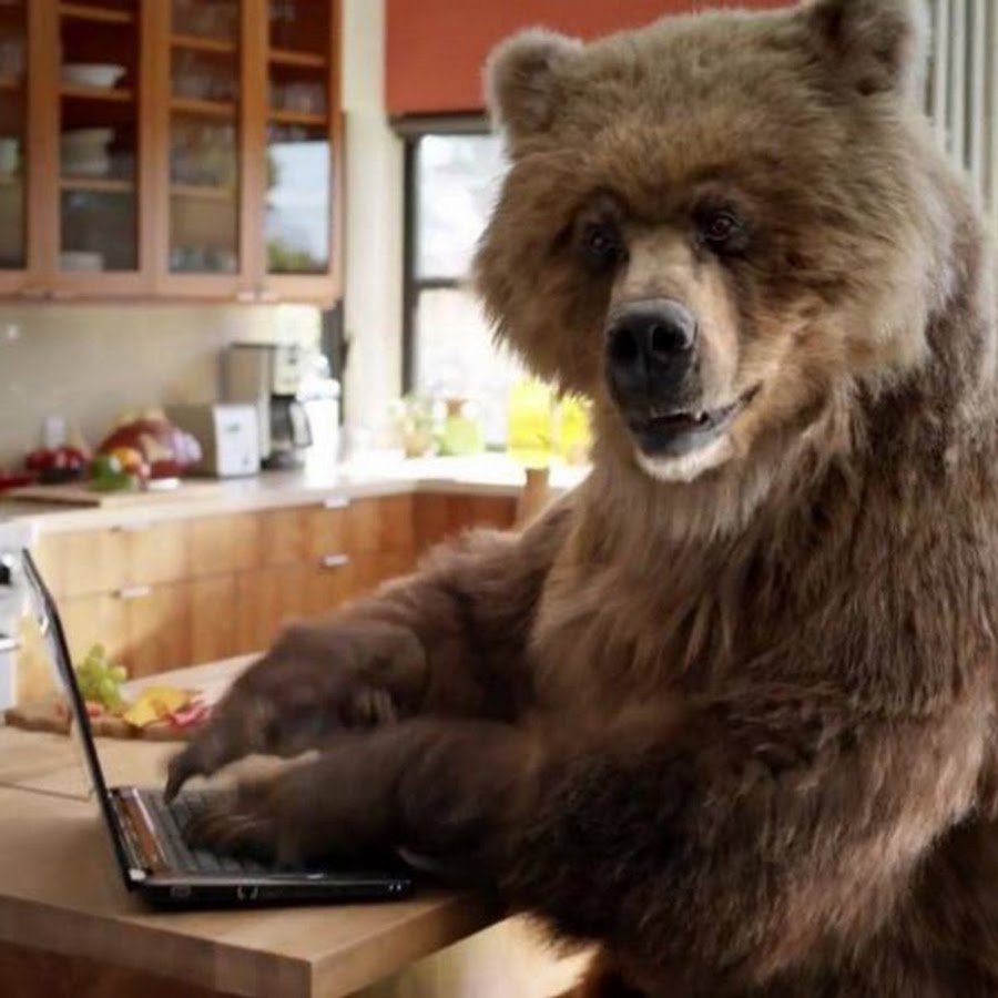 Медведь сидит за компьютером