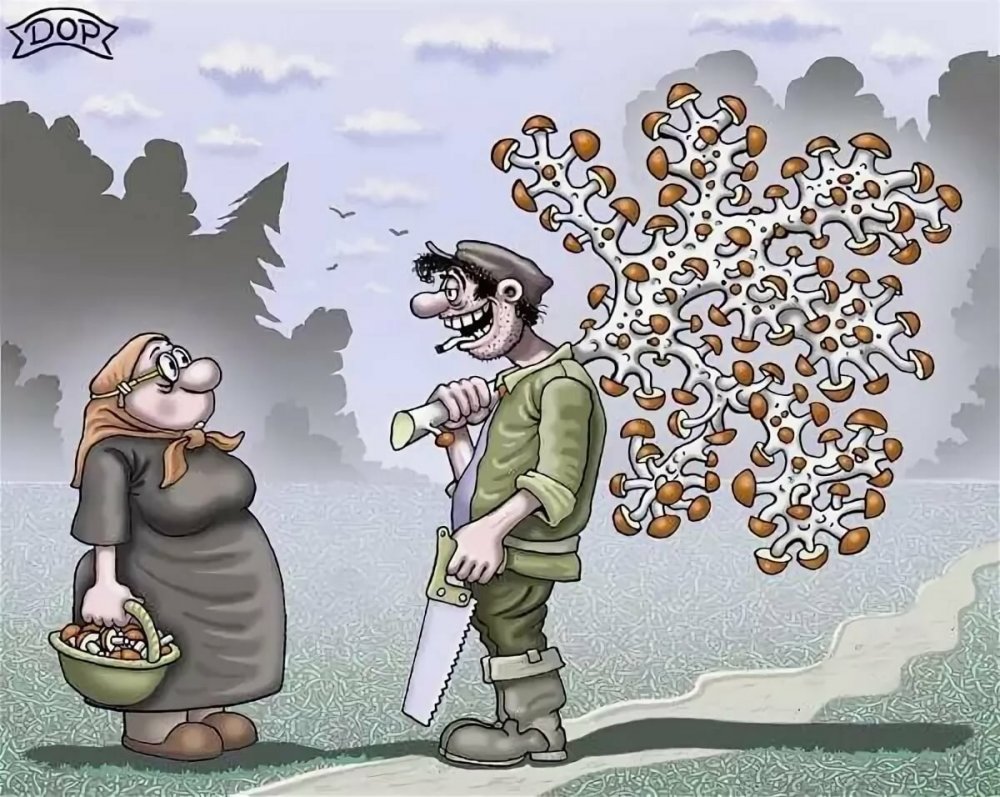 Карикатура собирать грибы