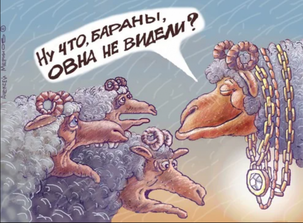 Карикатуры про Баранов