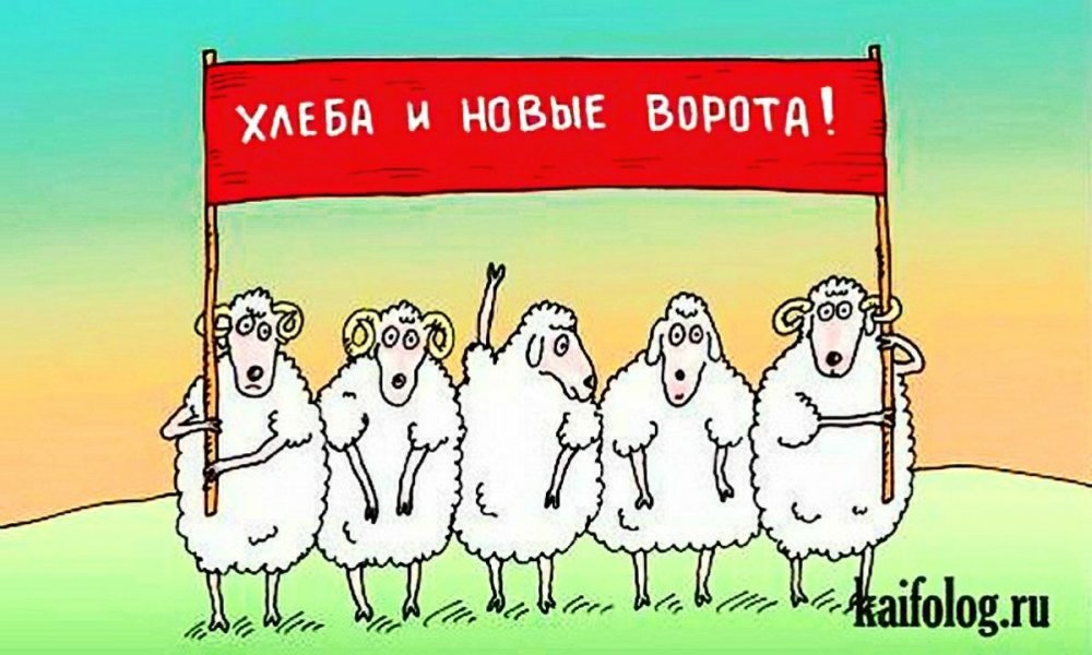 Стадо Баранов карикатура