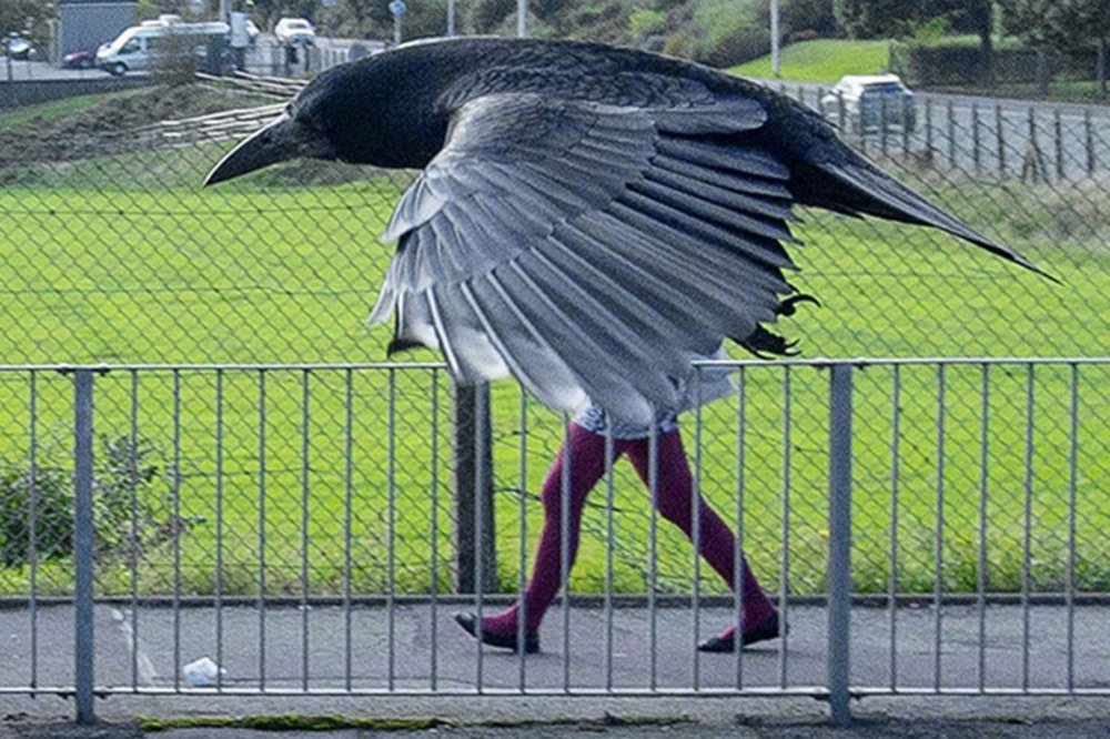Птица с человеческими ногами