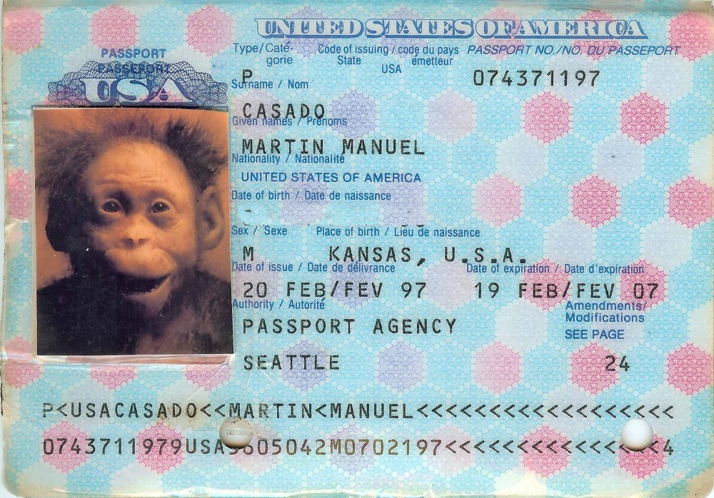 Паспорт обезьяны