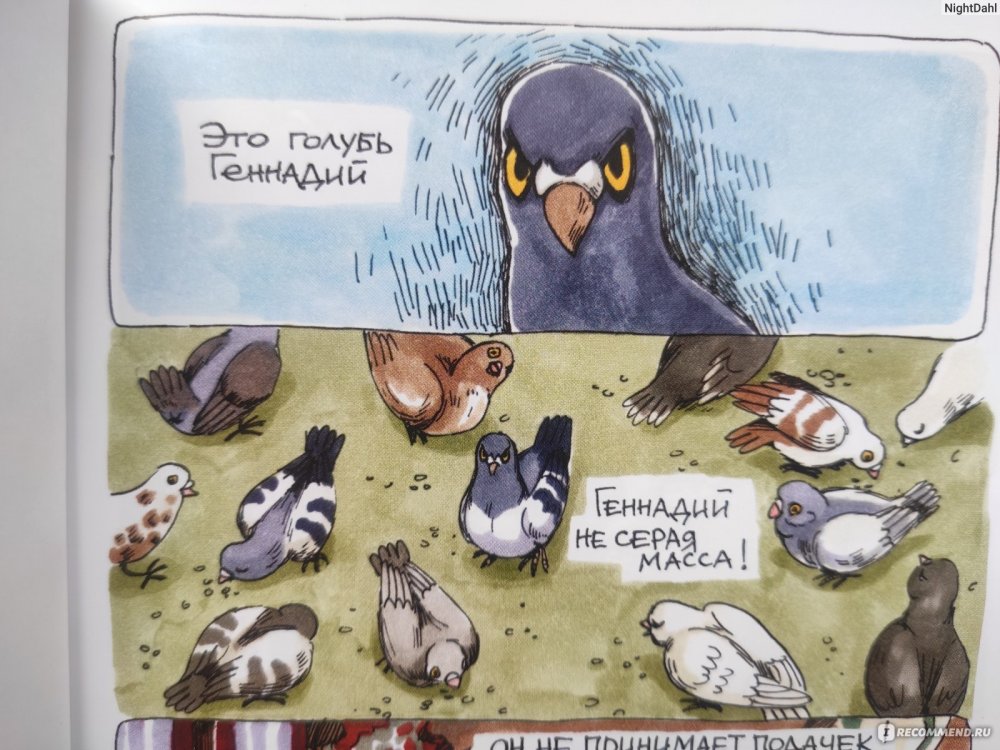 Комиксы про птиц
