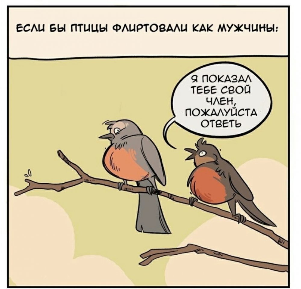 Анекдоты про птиц