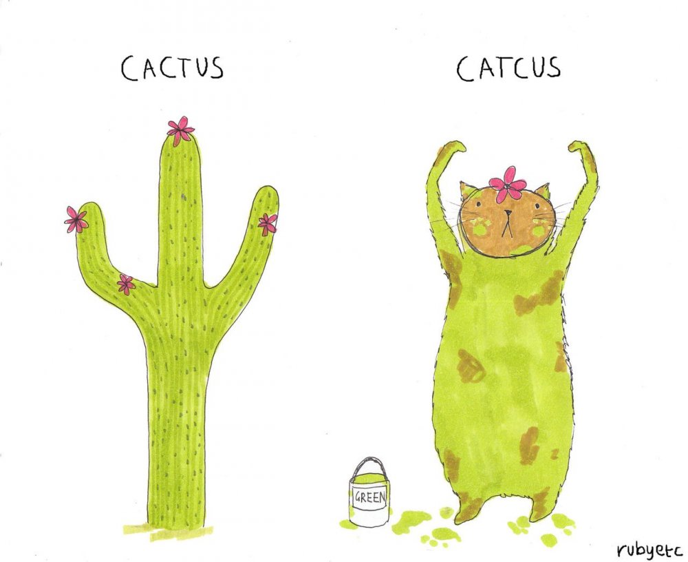 Кот ест Кактус