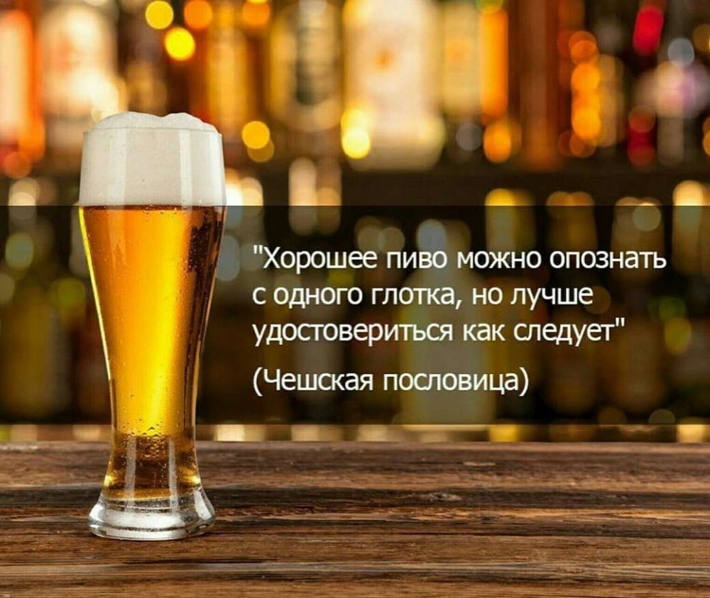 Афоризмы про пиво