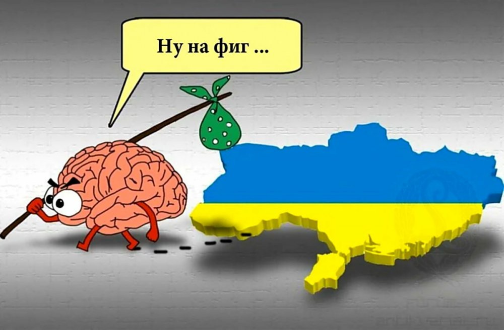 Мозг покидает Украину