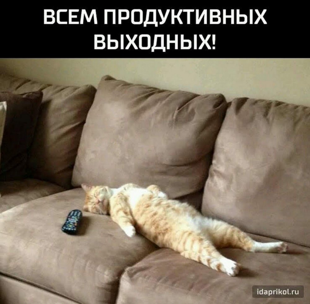 Ленивый кот на диване