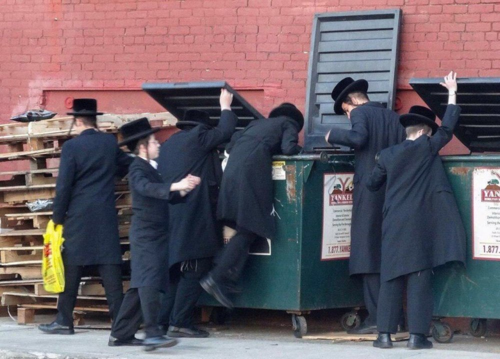 Евреи роются в мусорке