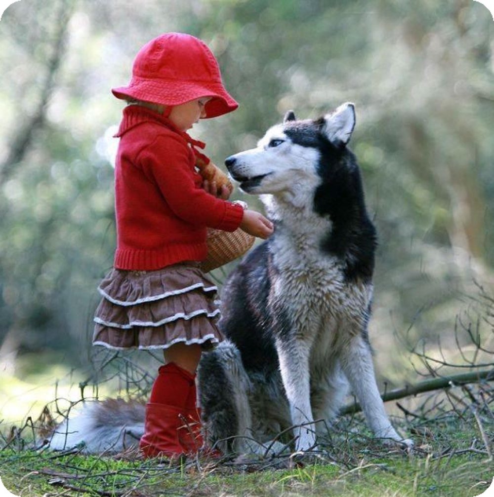 Красная шапочка с собакой