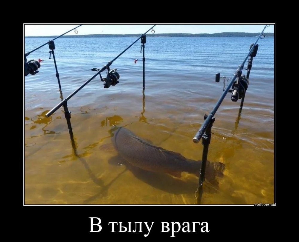 Анекдоты про рыбалку