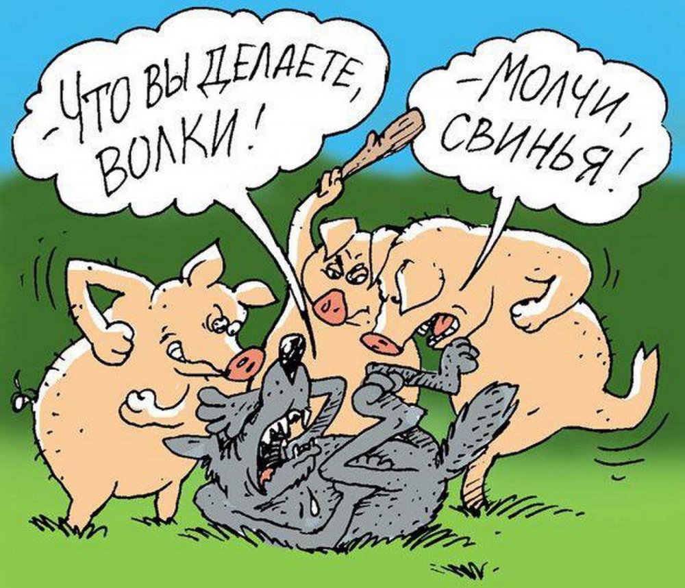 Смешные шутки про свиней