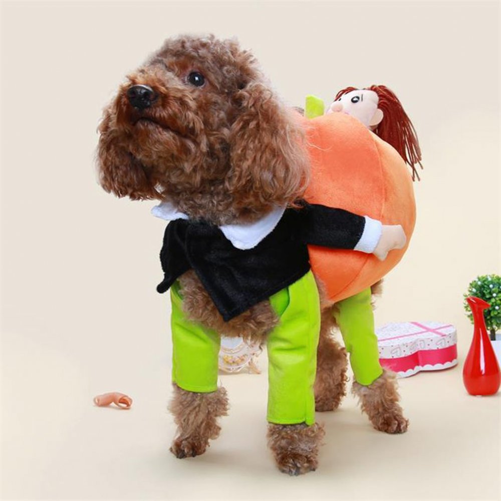 Классные костюмы для собак