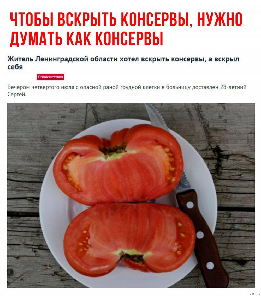 Смешные подписи к помидорам