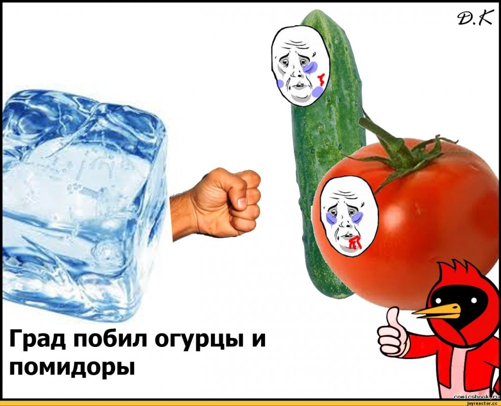 Смешные мемы про помидоры
