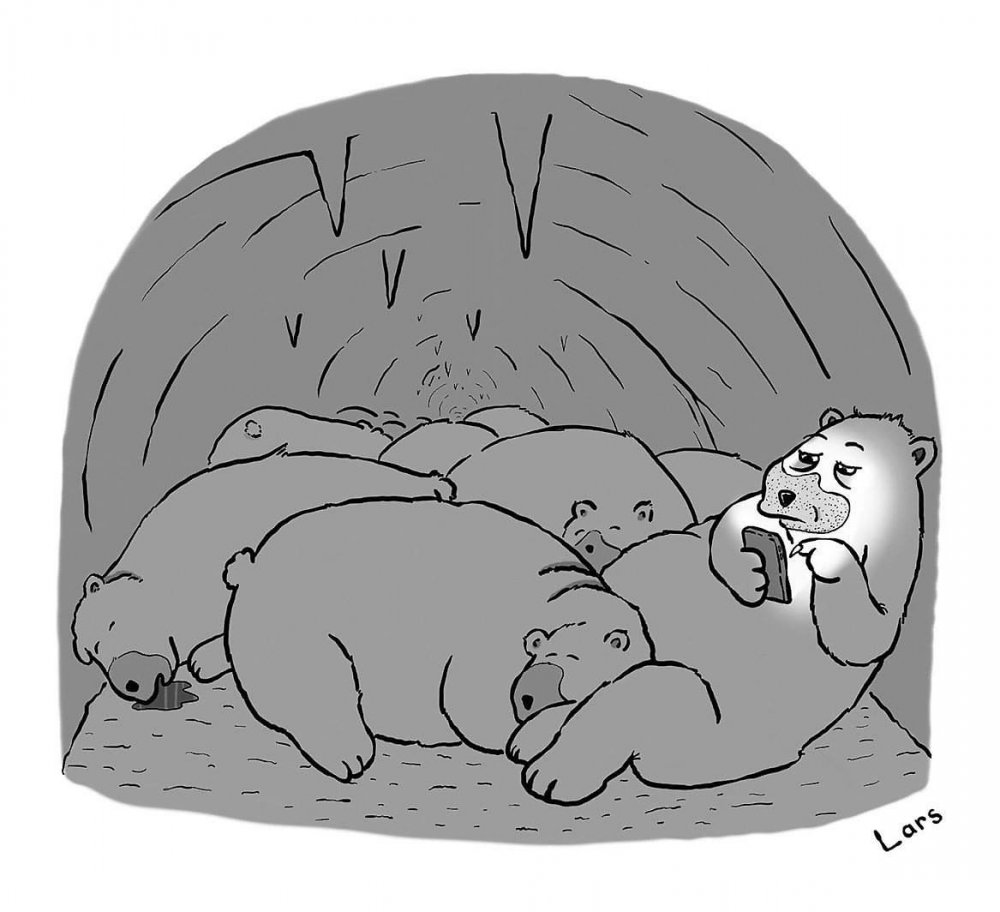 Обоняние белого медведя