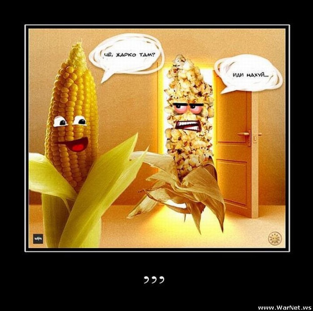 Кукуруза смешная шутка