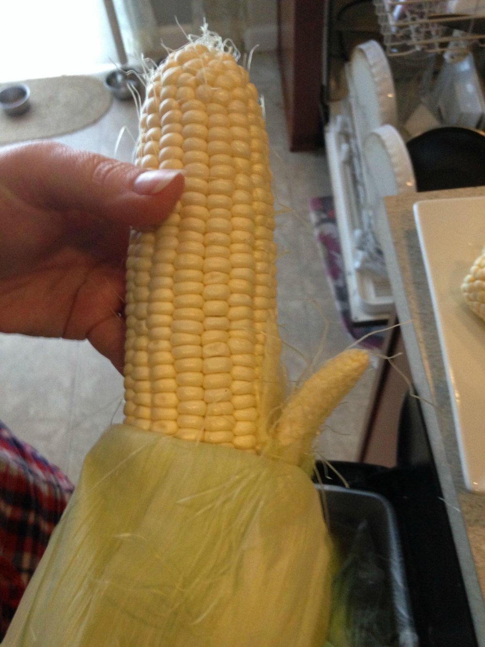 Большая кукуруза