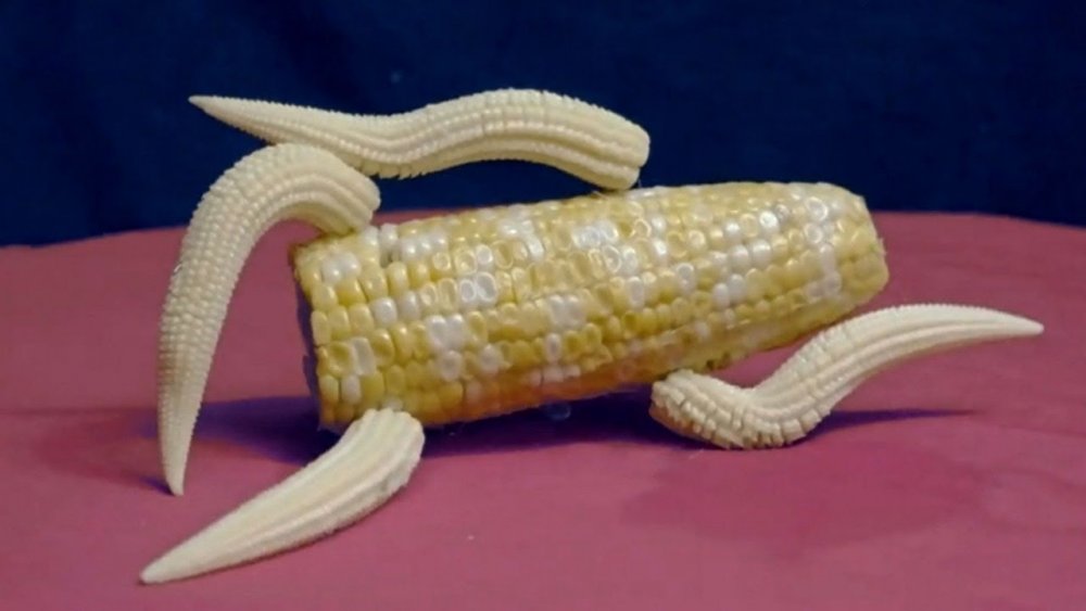 Член кукуруза