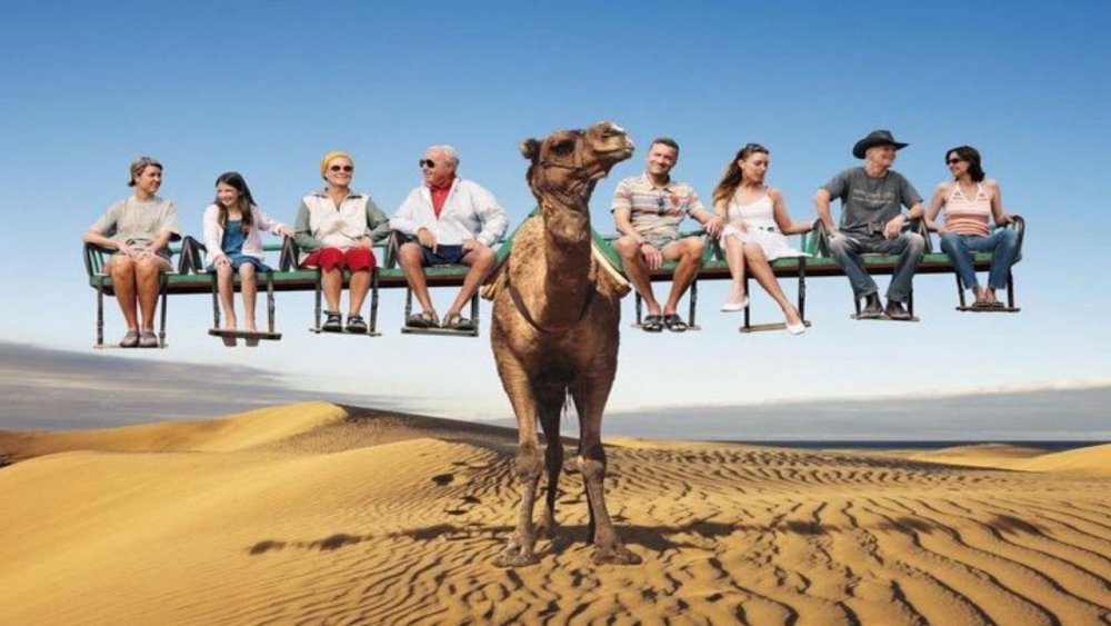 Туристы на верблюдах
