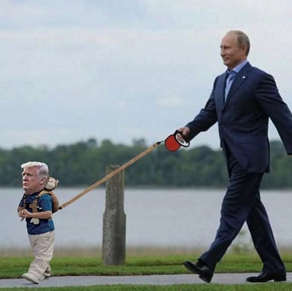 Прикольный Путин