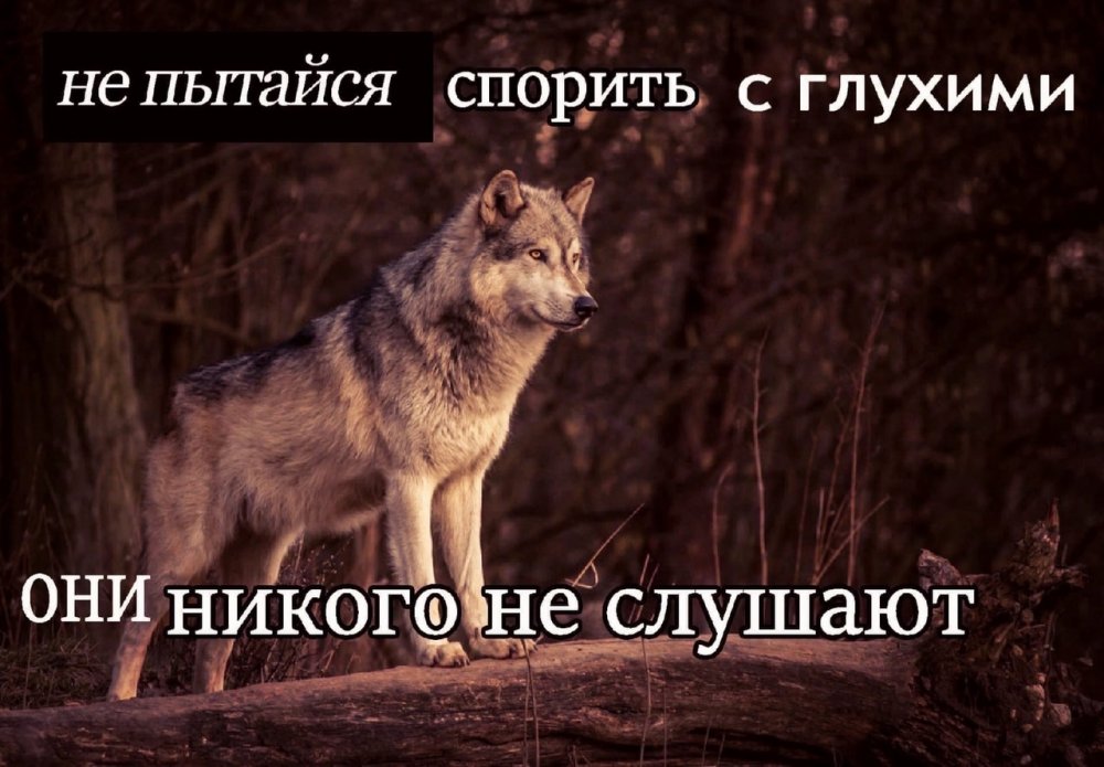 Если волк молчит то лучше его не перебивать