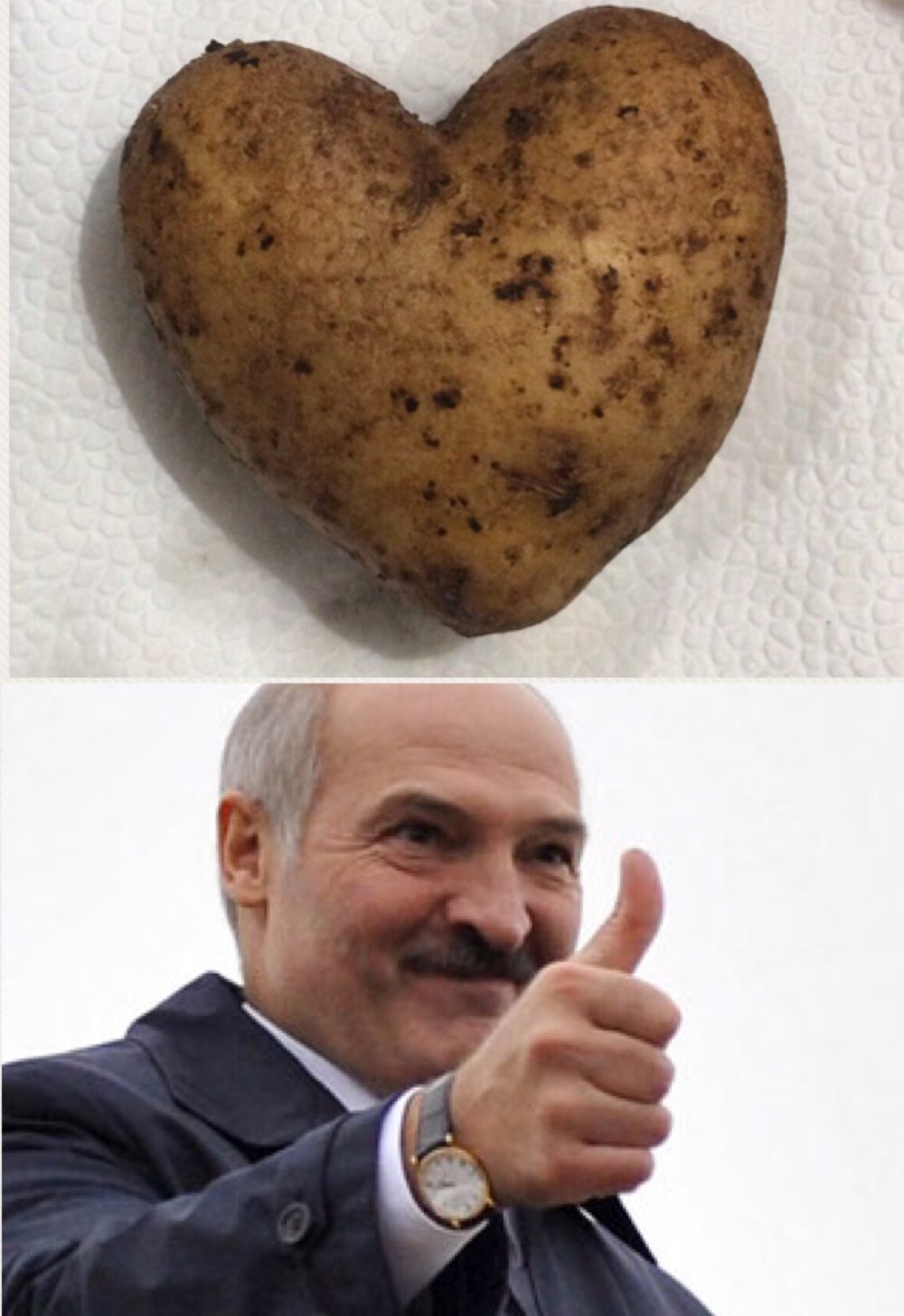 Лукашенко картоха