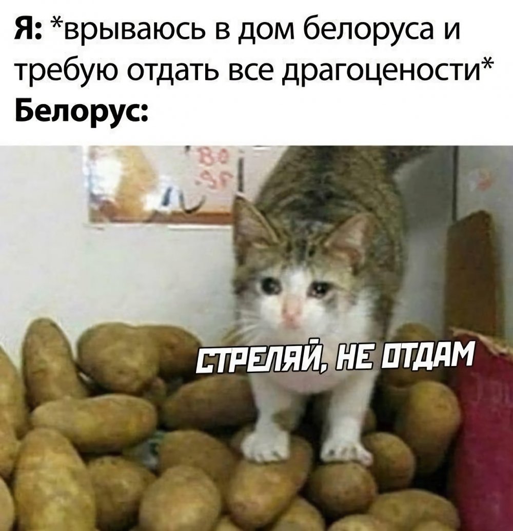 Мем про белорусов и картошку