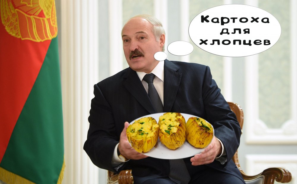 Александр Григорьевич Лукашенко картошка