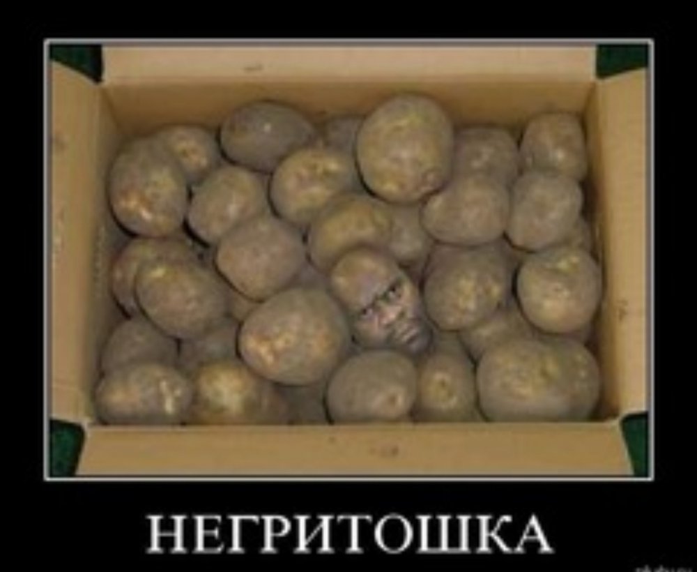 Смешные мемы с картошкой