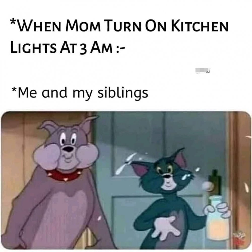 Я ночью включаю свет на кухне тараканы