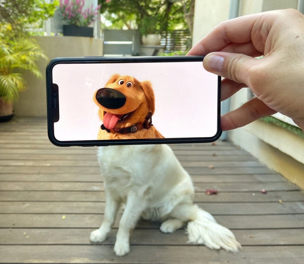 Собака со смартфоном