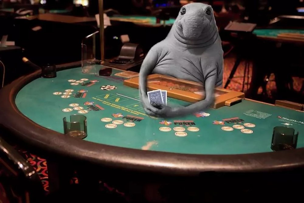Стол казино Покер