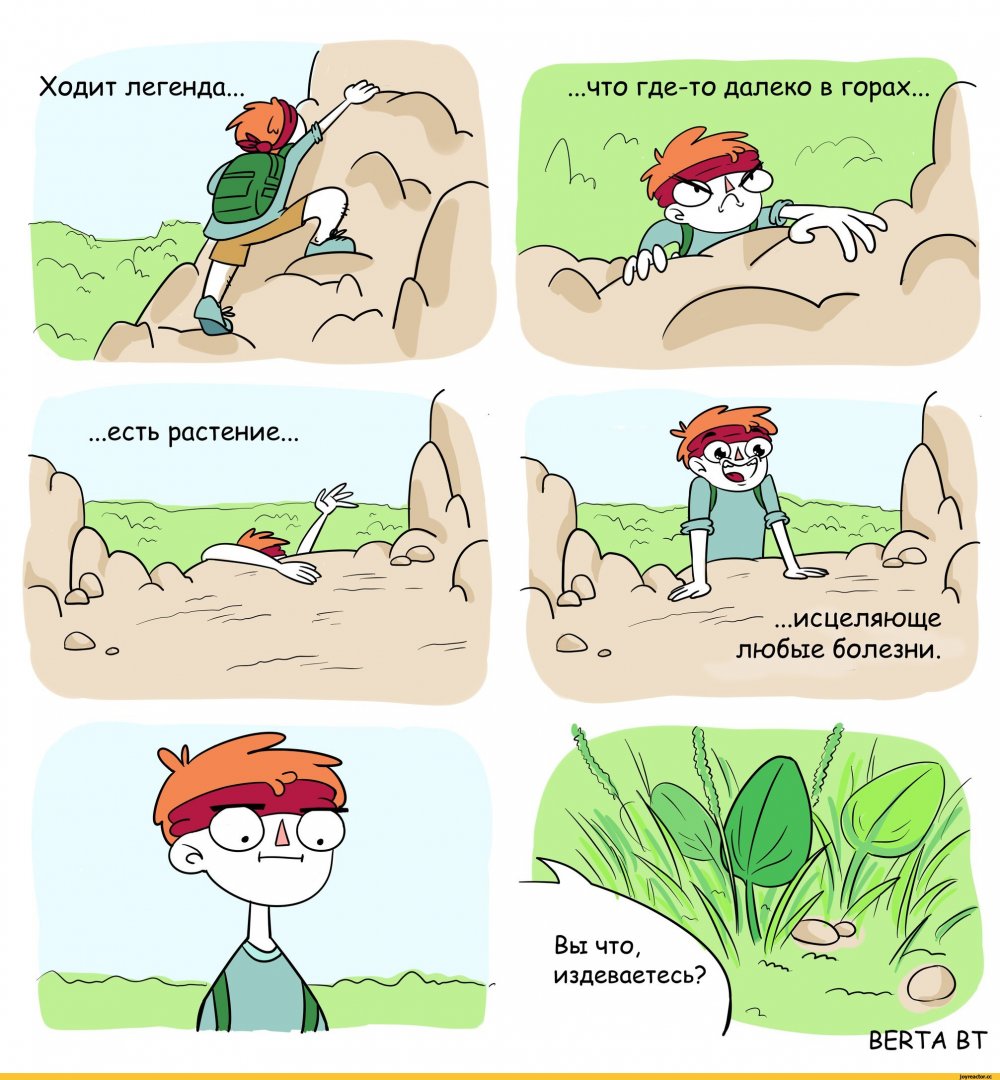 Анекдоты про растения