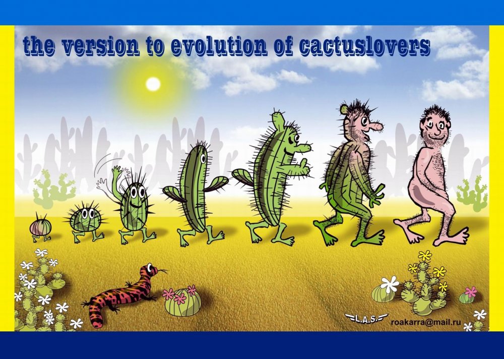 Эволюция кактуса