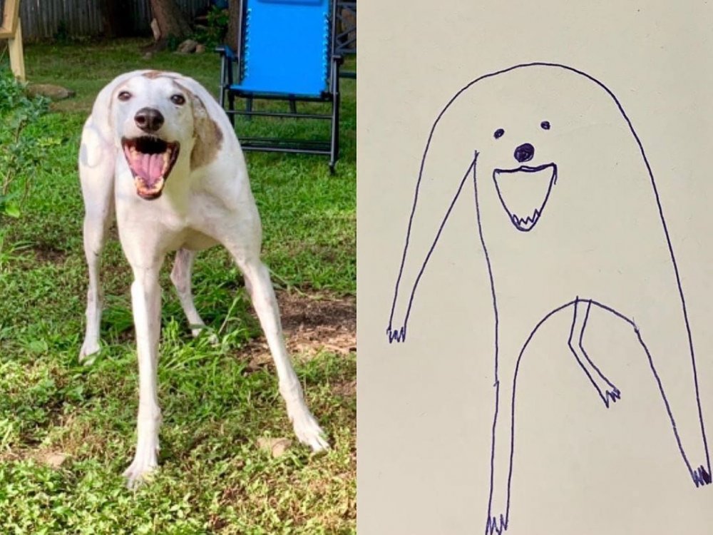 Криво нарисованная собака