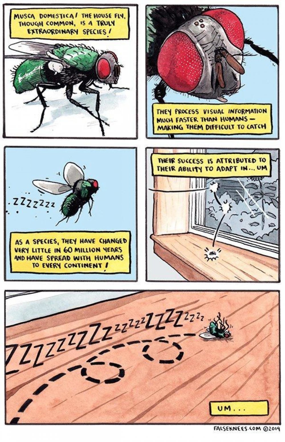 Приколы с насекомыми