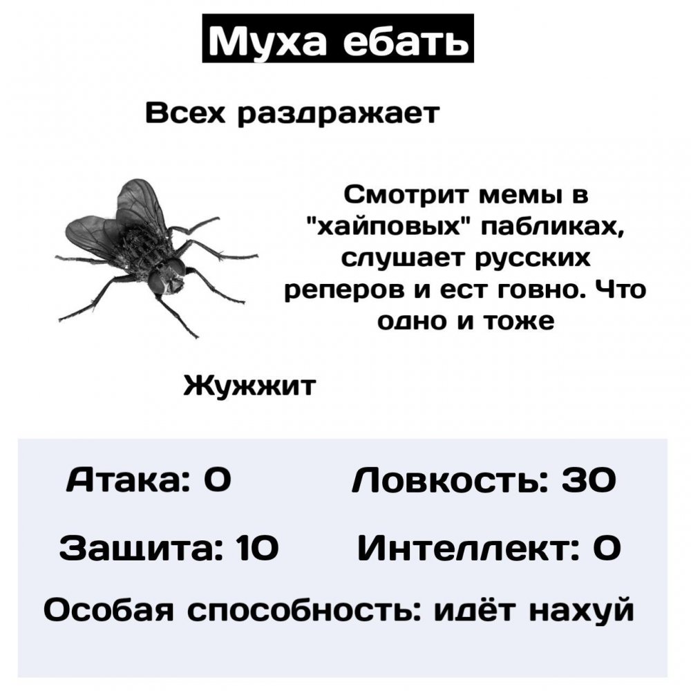 Смешные шутки про муху